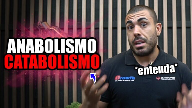 Anabolismo e catabolismo | Entenda