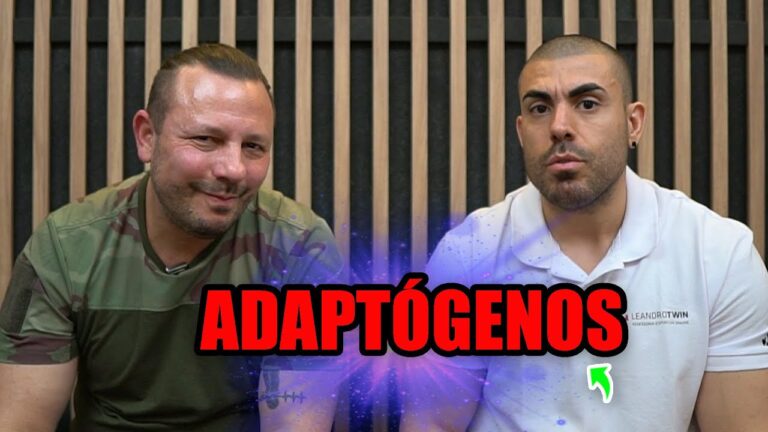 Tudo que você precisa saber sobre adaptógenos